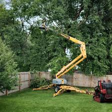 Best Tree Maintenance Programs  in Poncha Springs, CO