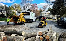 Best Hazardous Tree Removal  in Poncha Springs, CO