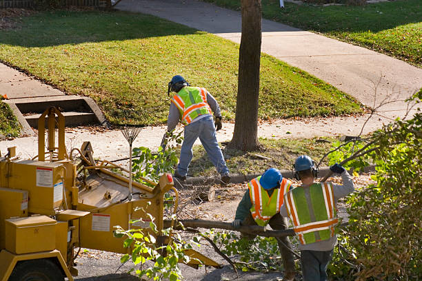 Best Seasonal Cleanup  in Poncha Springs, CO